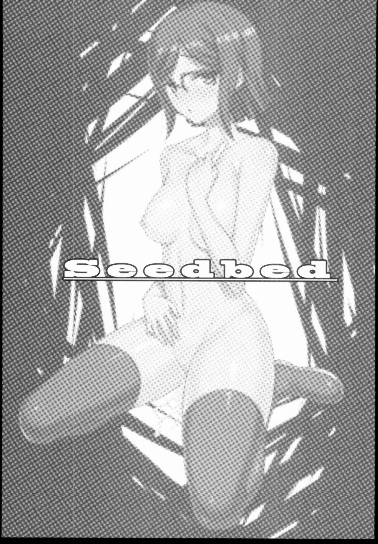Seedbed page 3 full
