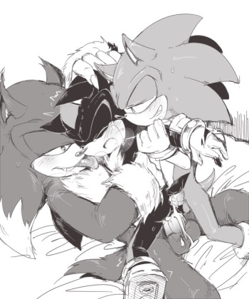Artist 7624cq cover