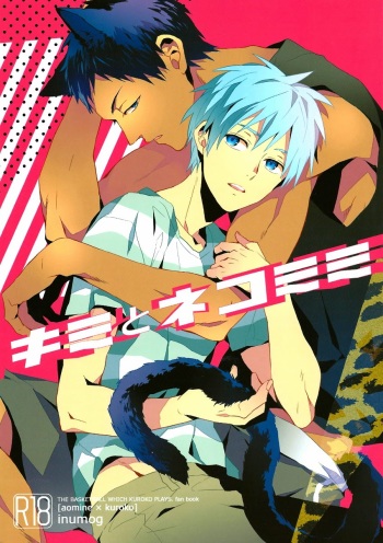 (SPARK8) [inumog (Fujino, Marumo)] Kimi to Nekomimi (Kuroko no Basuke) [English] [RGOTE Scans] cover