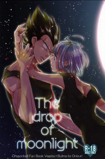 (C82) [Hatarakimasen.. (Oniyuri)] The drop of moonlight (Dragon Ball Z) [English] [something or nothing scans] cover