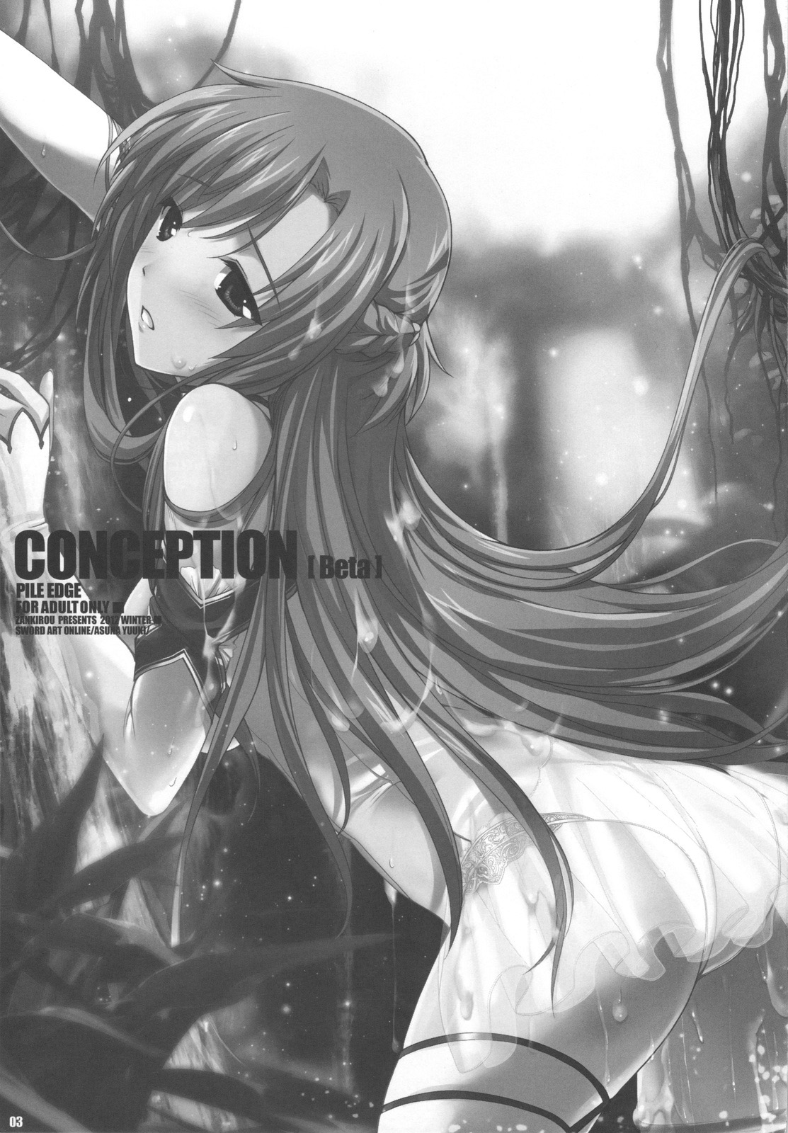 PILE EDGE CONCEPTION page 2 full