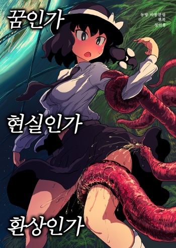 (SC58) [Ana Futatsu (Wenajii)] Yume ka Utsutsu ka Maboroshi ka (Touhou Project) [Korean] cover