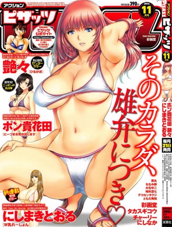 Action Pizazz 2014-11 cover