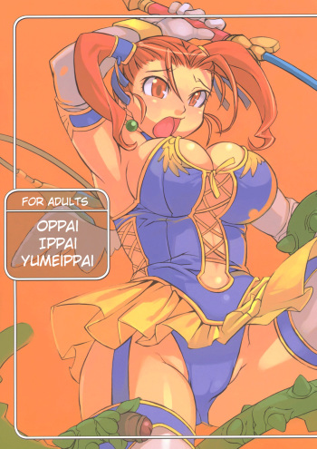 (C69) [Gadoujuku (Kawacchi Hirohiro)] Oppai Ippai Yume Oppai (Dragon Quest VIII) [English] [EHCOVE] cover