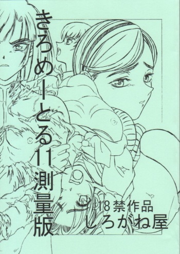 (CR30) [Shiroganeya (Ginseiou)] Kilometer 11 Sokuryouban (Hikaru No Go) cover