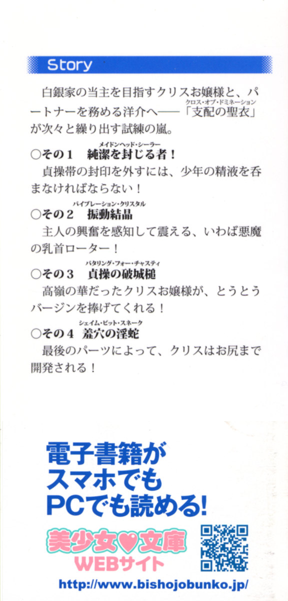 Shirogane no Ojousama to Shihai no Cloth page 2 full