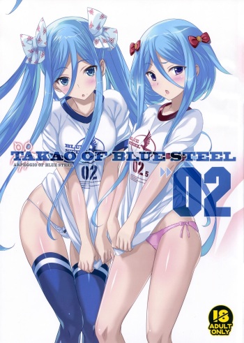 (C85) [Kotonosha (Mutsumi Masato)] TAKAO OF BLUE STEEL 02 (Arpeggio of Blue Steel) cover