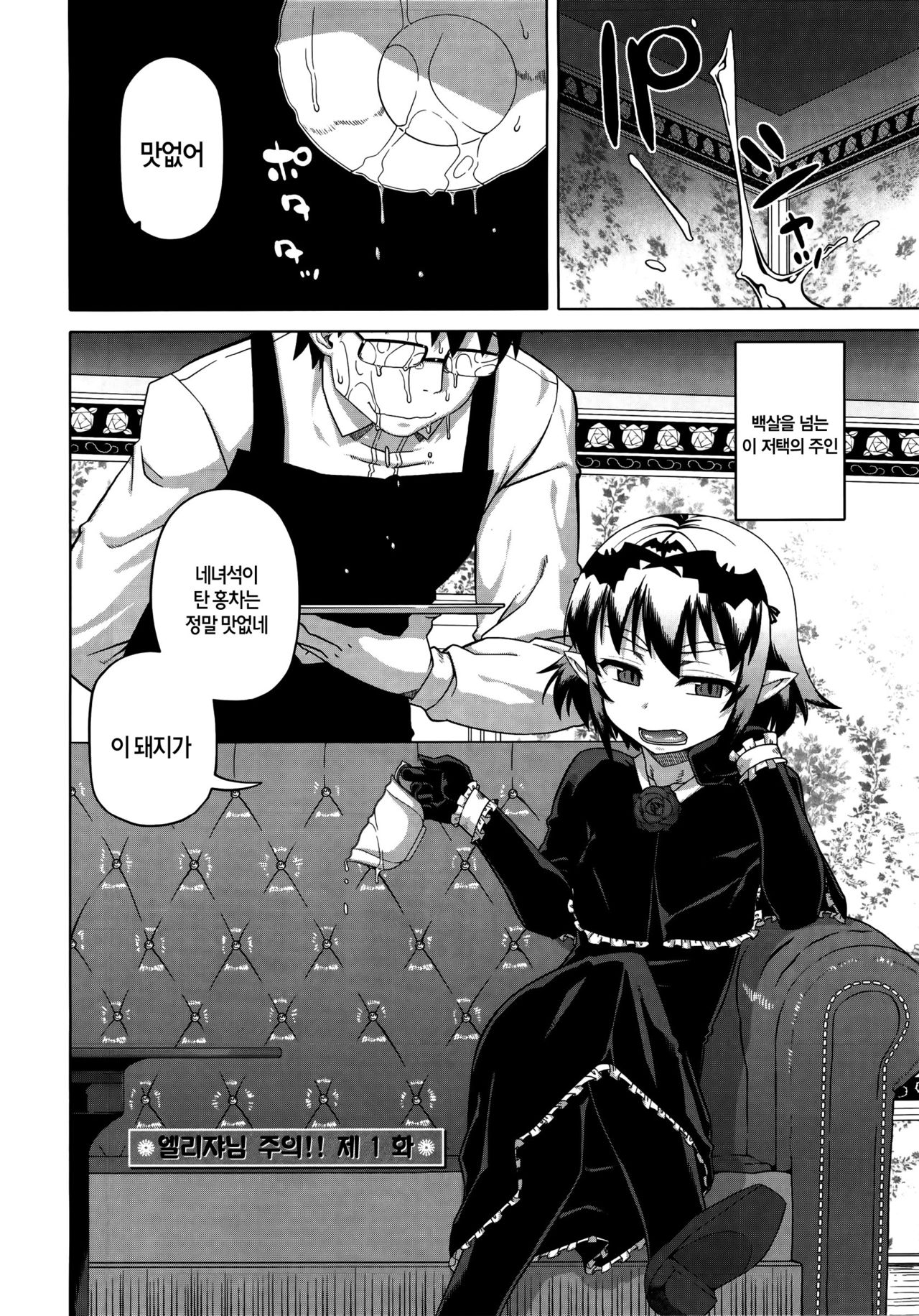 Elisa-sama Goyoujin!! | 에리자님 조의!! page 11 full