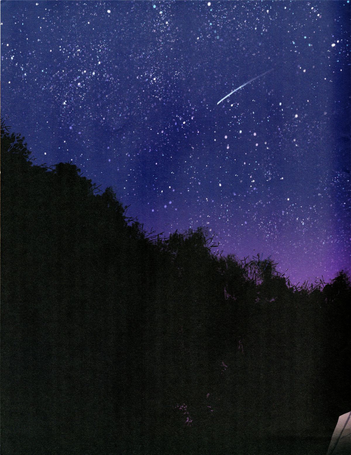 Rainbow page 12 full