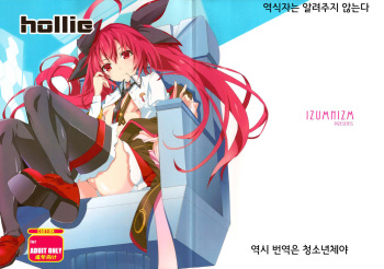 (C83) [IzumNizm (okiura)] hollie (Date A Live) [Korean] cover
