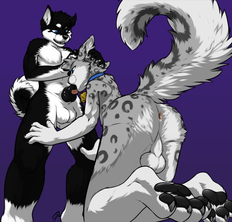 gay oral furry yiff page 11 full