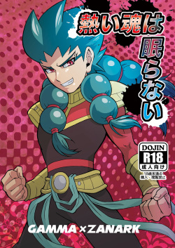 Atsui Tamashii wa Nemuranai