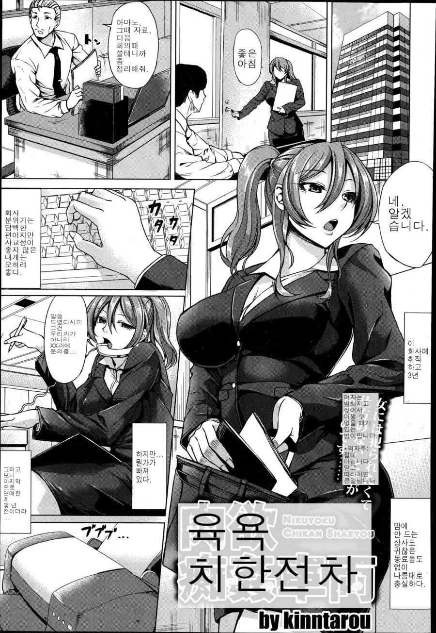 Nikuyoku Chikan Sharyou | 육욕 치한 차량 page 1 full