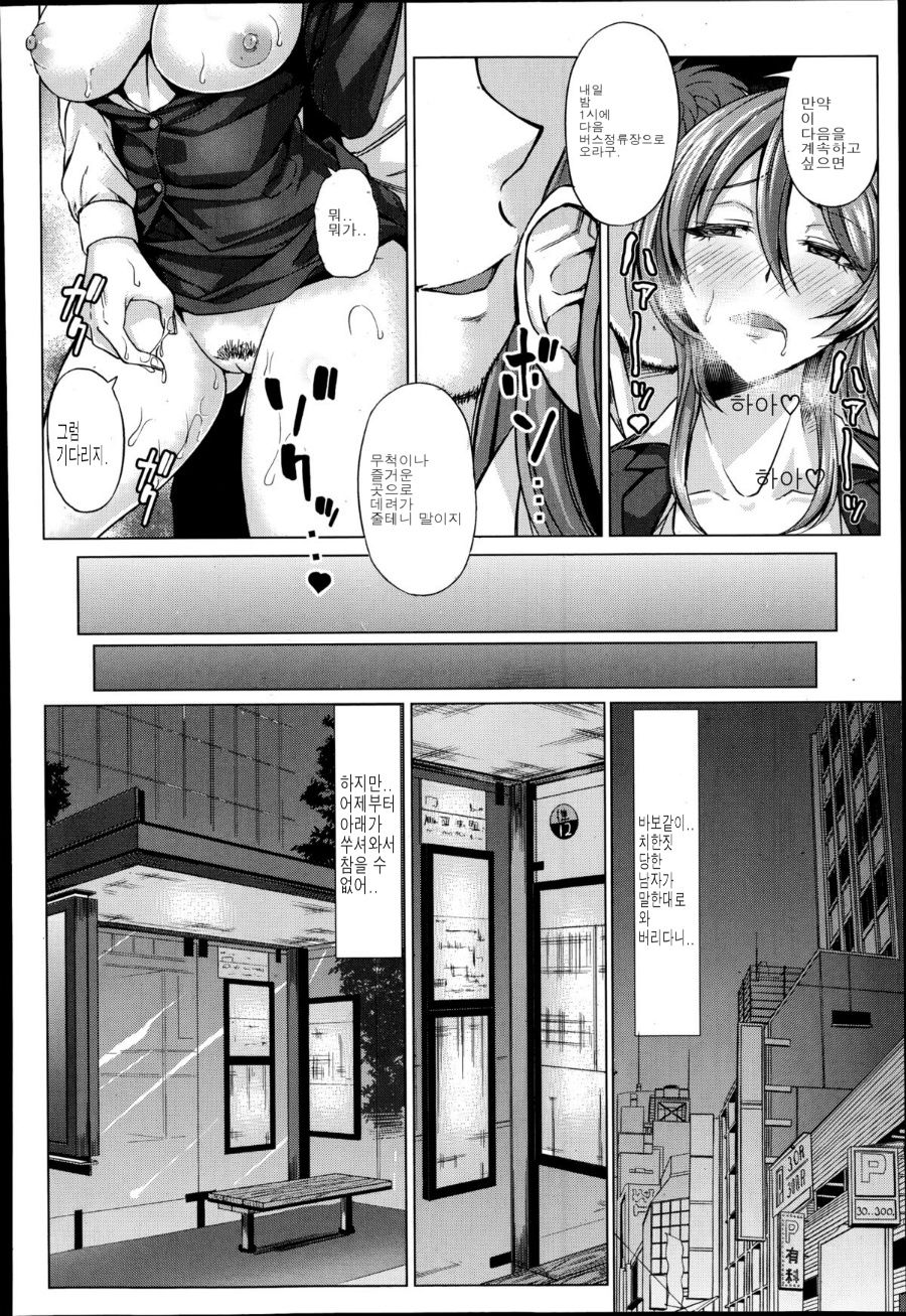 Nikuyoku Chikan Sharyou | 육욕 치한 차량 page 10 full