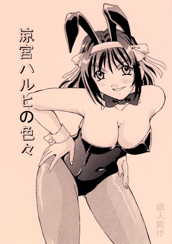 [FOOLS WORKS (K.AKAGI)] Suzumiya Haruhi no Iroiro (The Melancholy of Haruhi Suzumiya) [Digital] cover