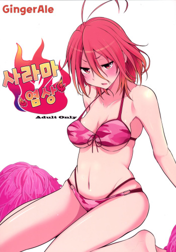 (C87) [Rorinoutage (Shimantogawa)] Salama Enjou (Amagi Brilliant Park) [Korean] [GingerAle] cover