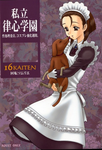 (C64) [KAITEN SOMMELIER (13.)] 16 Kaiten Shiritsu Risshin Gakuen ~Seishori iin, cosplay kyouka shuukan.~ [French] cover