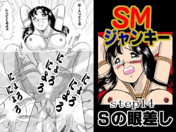 [Marumi Kikaku (Satomaru)] S&M Junkie 14 - The Gaze of Sadism cover