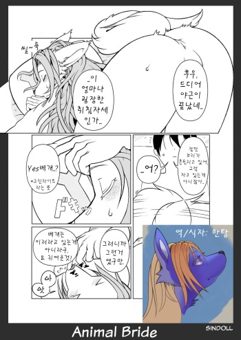 [Sindoll] Animal Bride 3 (non title) (korean) [HanTang] cover