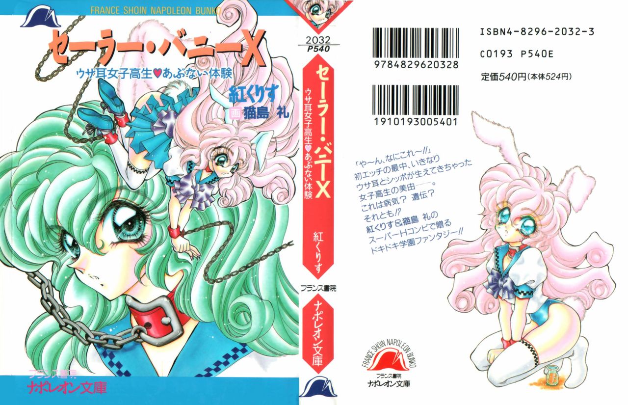 Sailor Bunny X - Usamimi Joshikousei Abunai Taiken page 1 full