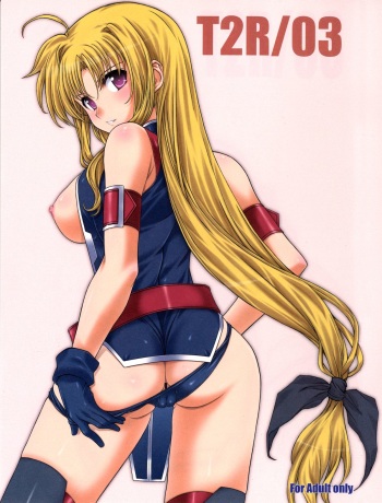 (C85) [BRIEST (Yatsushima Tetsuya)] T2R/03 (Various) cover