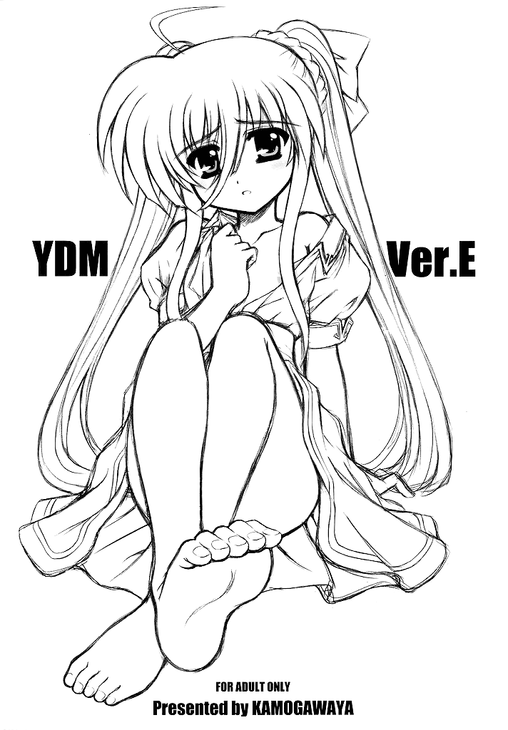 YDM Ver.E page 1 full