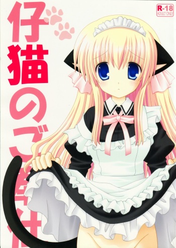 (C77) [Neko Kinryouku (NekoNeko)] Koneko no Gohoushi cover