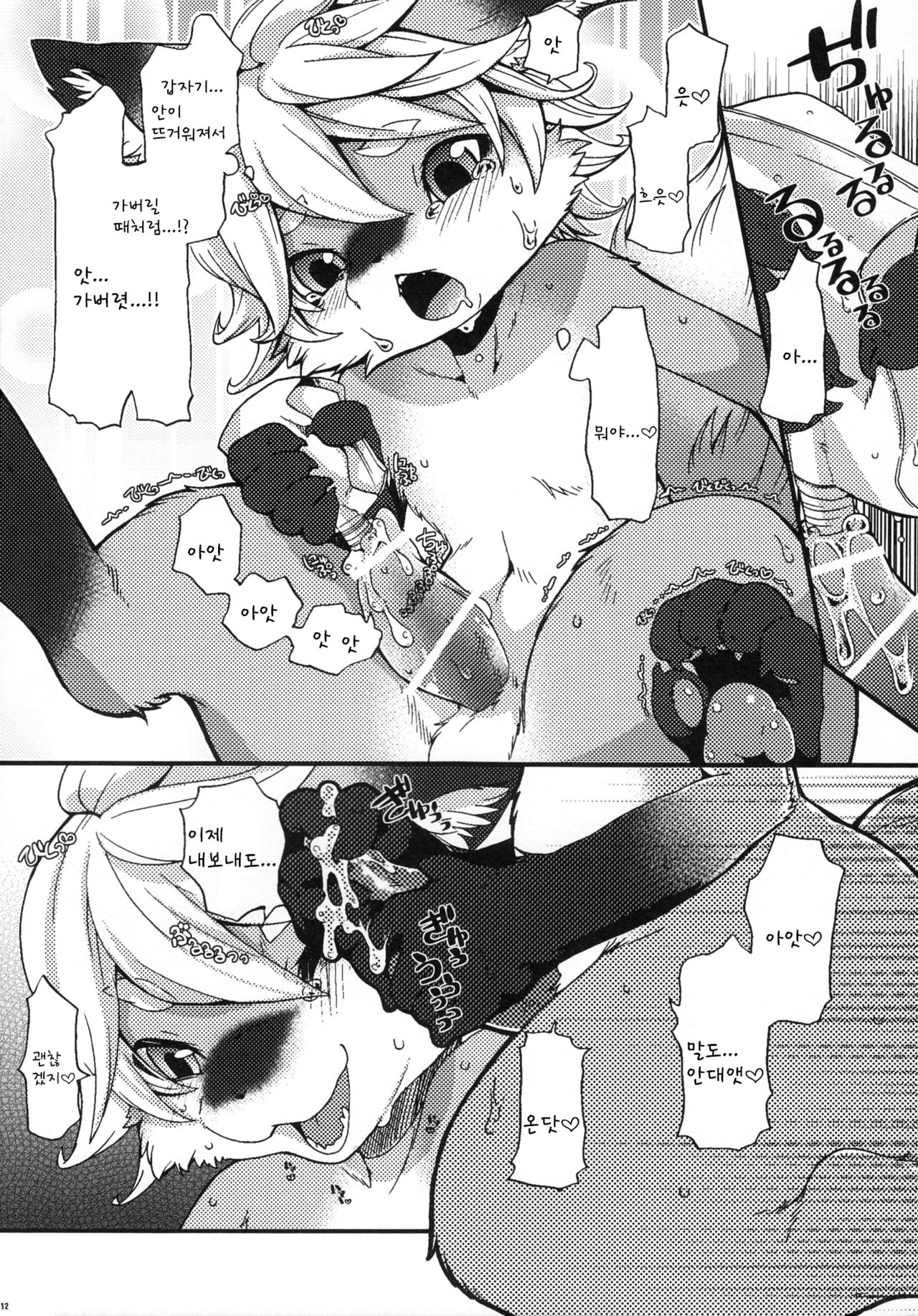 Weider in Charging page 12 full