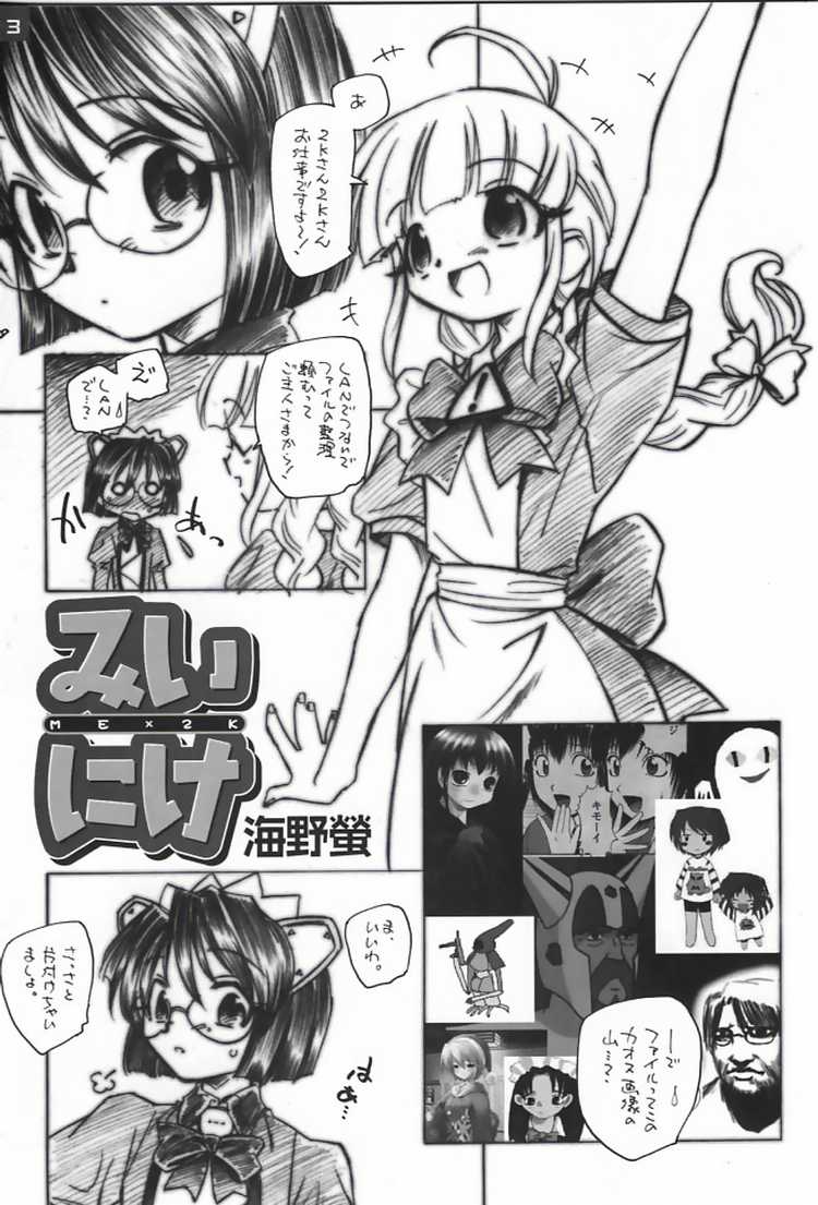 MEx2K page 2 full