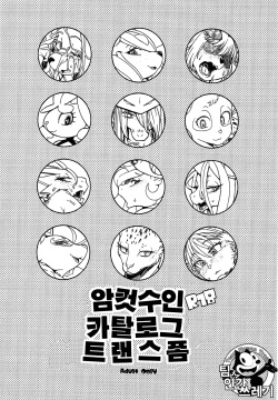 Mesukemo Catalog Transform