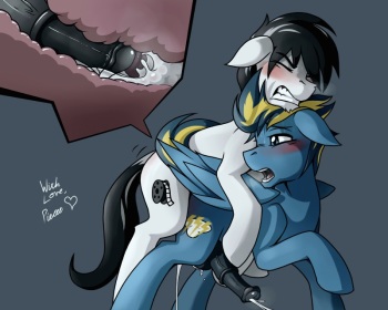 stallion cocks gallery cover