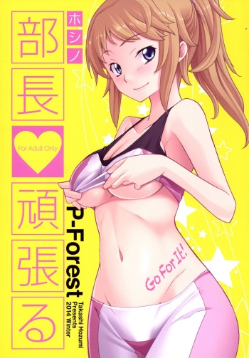 (C87) [P-FOREST (Hozumi Takashi)] Buchou Ganbaru (Gundam Build Fighters Try) cover