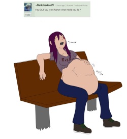 Questions for the Charracters