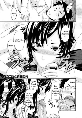 [Takeda Hiromitsu] Anekon | Al cuidado de mis Hermanastras (COMIC Megastore H 2008-03) [Spanish] {Varkatzas666} [Decensored] cover