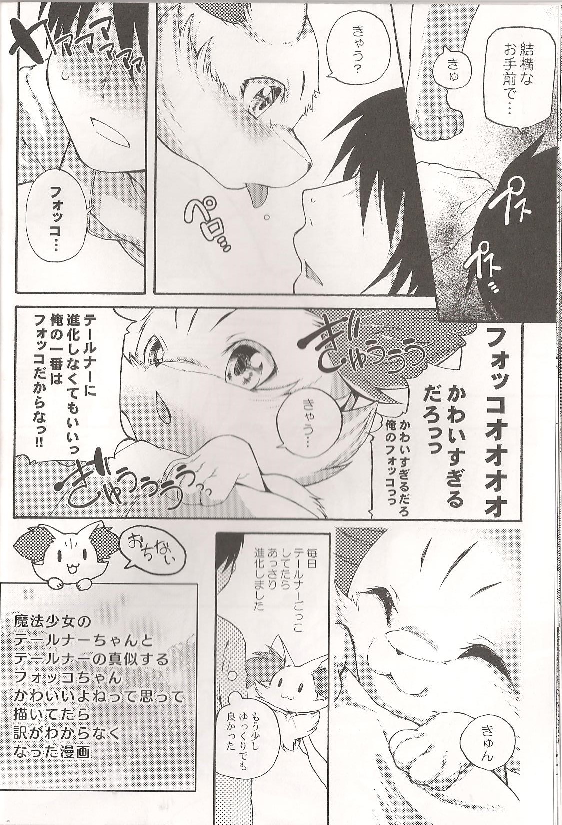 Roman de Renart 2 page 11 full
