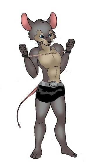 Anthro MIce cover
