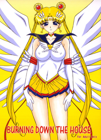 [Black Dog (Kuroinu Juu)] Burning Down the House | Поджог дома (Bishoujo Senshi Sailor Moon) [Russian] [2004-09-22] cover