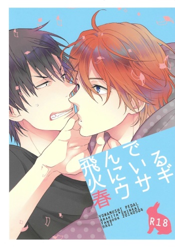 (SUPER23) [Hagi (Shiramatsu)] Tonde Hi Ni Iru Haru Usagi (Yowamushi Pedal) cover