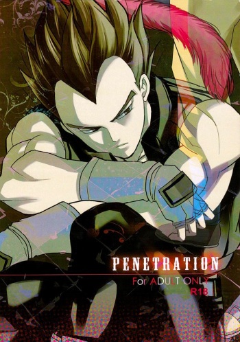 (C82) [Herumon (Runta)] Penetration (Dragon Ball GT) cover