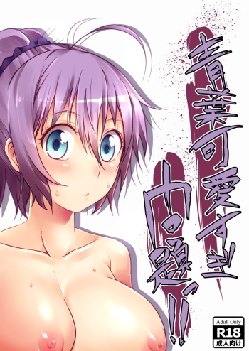 [Sawamura Ao] Aoba Kawai Sugi Mondai!! (Kantai Collection -KanColle-) cover