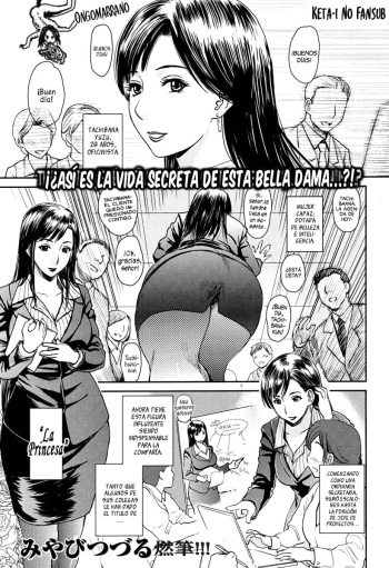 [Miyabi Tsuzuru] Princesa descuidada [Spanish] =Keta-I no Fansub= cover