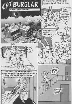 Cat Burglar