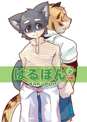 (C69) [Harugoya (Harusuke)] Harubon 2 [Spanish] [Sly_Silver] [Decensored] cover