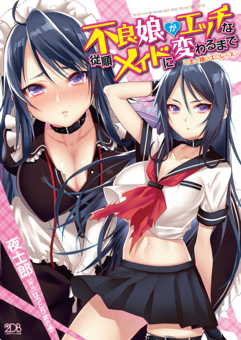 [Yashirou, Hattori Masaki] Furyou Musume ga H na Juujun Maid ni Kawaru made Goshujin Sama no Ero Lesson [Digital] cover