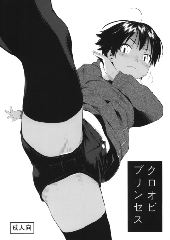 (C87) [Group Hinoran (Wang-Pac)] Kuroobi Princess + COMITIA 112 Paper cover