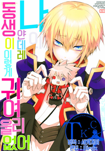 (Shotaket 13R) [ASGARD (Sumeragi)] Ore no Yandere Otouto ga Konna ni Kawaii Wake ga Nai (Blazblue) [Korean] [Team K·C] cover