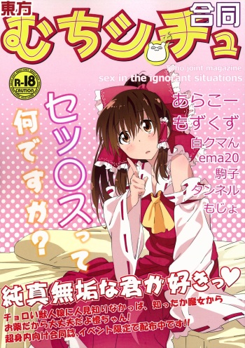 (Reitaisai 12) [border rim (Various)] Touhou Muchi Shichu Goudou - Toho joint magazine sex in the ignorant situations  (Touhou Project) cover