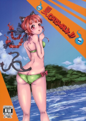[dddosao] Natsu Catswalk (Touhou Project) cover