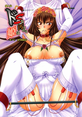 (C78) [Nozarashi (Nozarashi Satoru)] Do-S na Hime wa Kegasareru Haji no Nana - Ryoujoku Hirouen cover