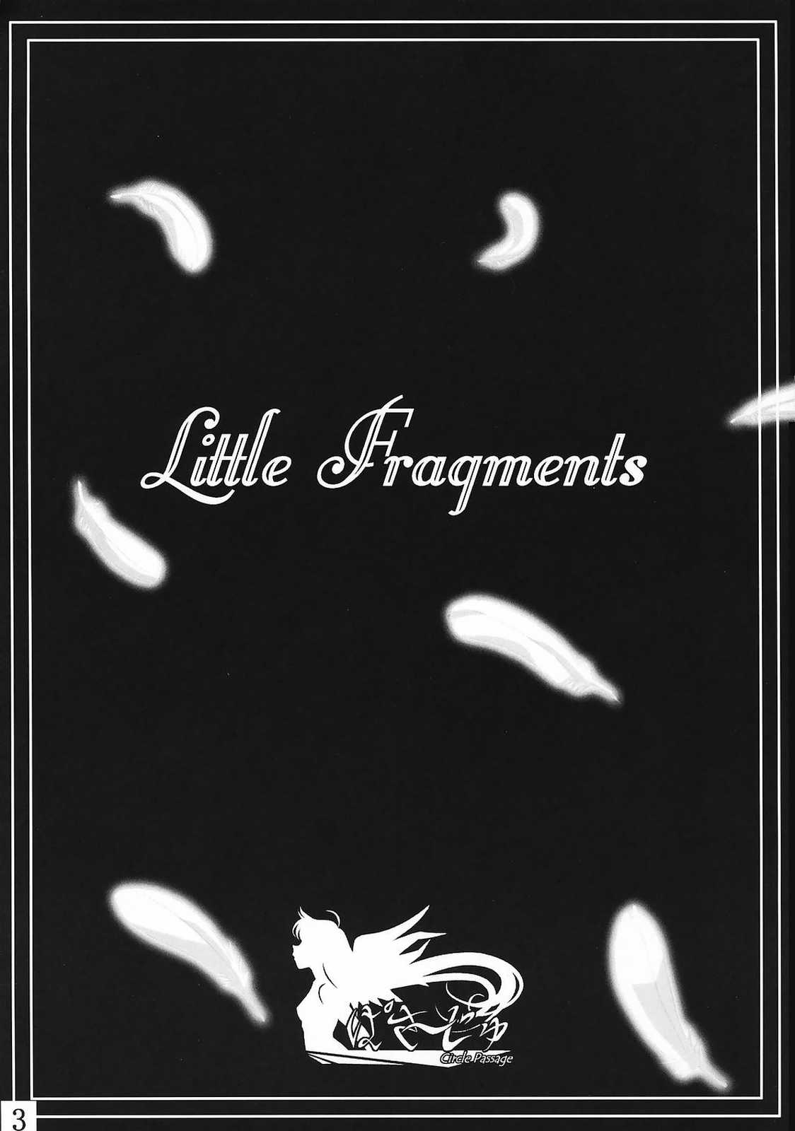 Little Fragments page 2 full